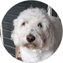 Pamela van der Wagen profile picture